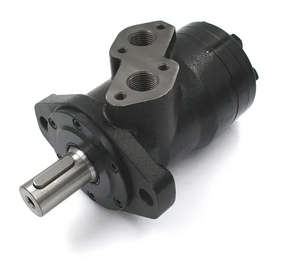 BMP-100P1AIIY10/T10 героторный гидромотор