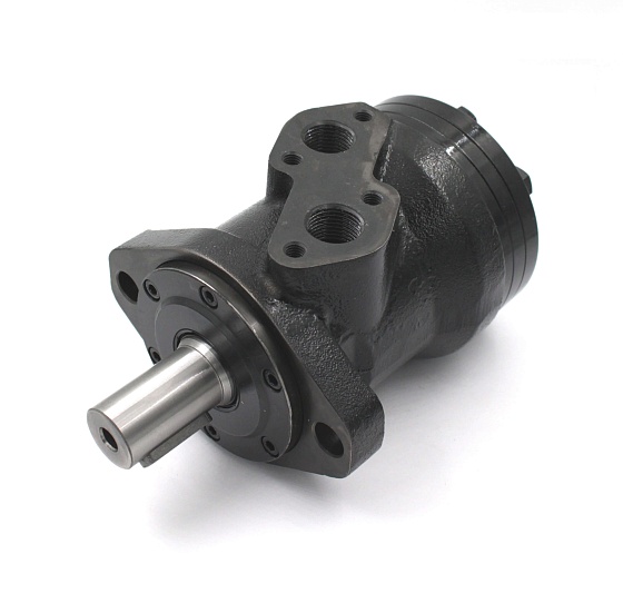 BMRY-50P1AIIY/T10 героторный гидромотор