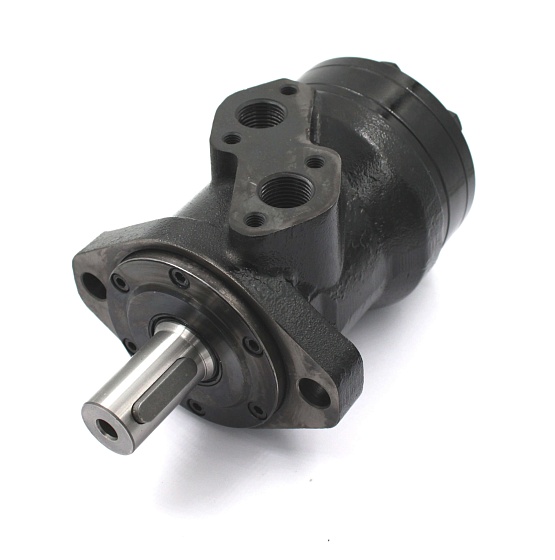 BMRY-100P1AIIY10/T10 героторный гидромотор