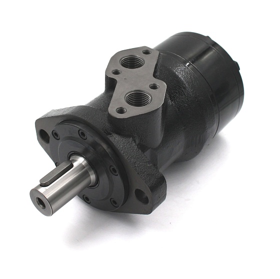 BMRY-200P1AIIY10/T10 героторный гидромотор